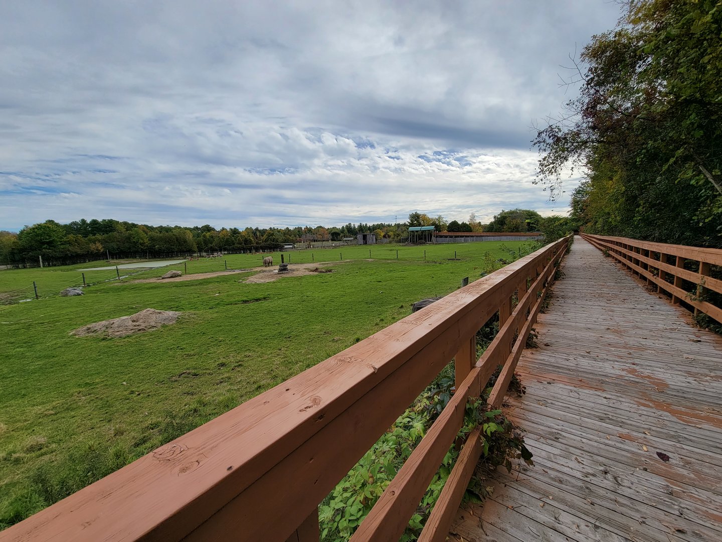 Parc Safari - Afrika Terrace, boardwalk