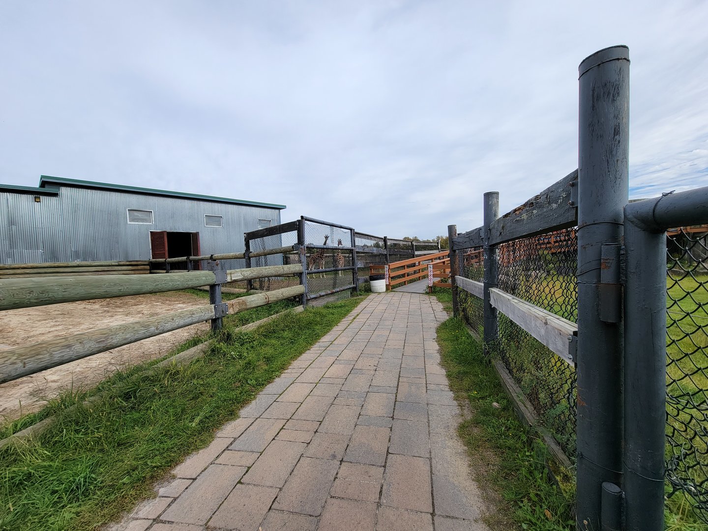 Parc Safari - Afrika Terrace, giraffe barns on left