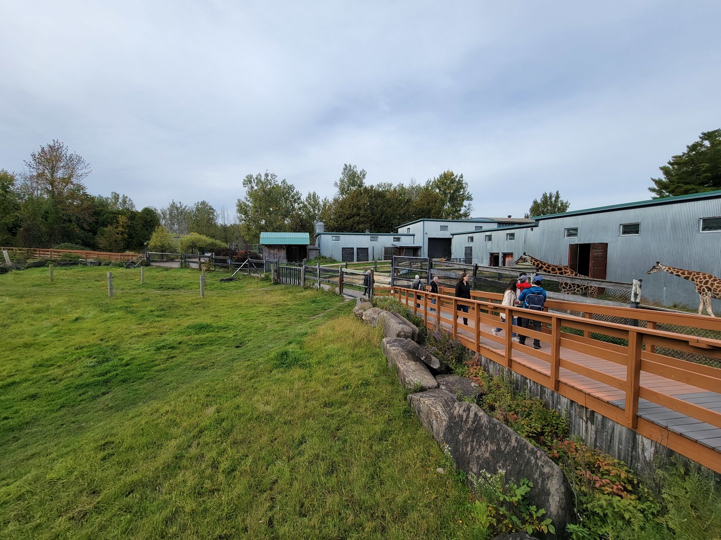 Parc Safari - Afrika Terrace, giraffe barns