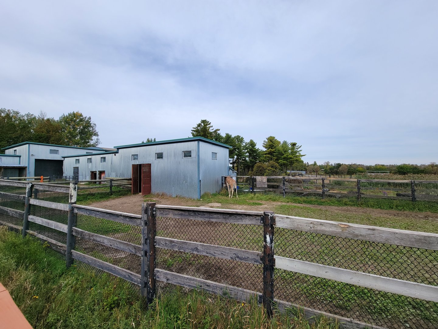 Parc Safari - Afrika Terrace, giraffe barns