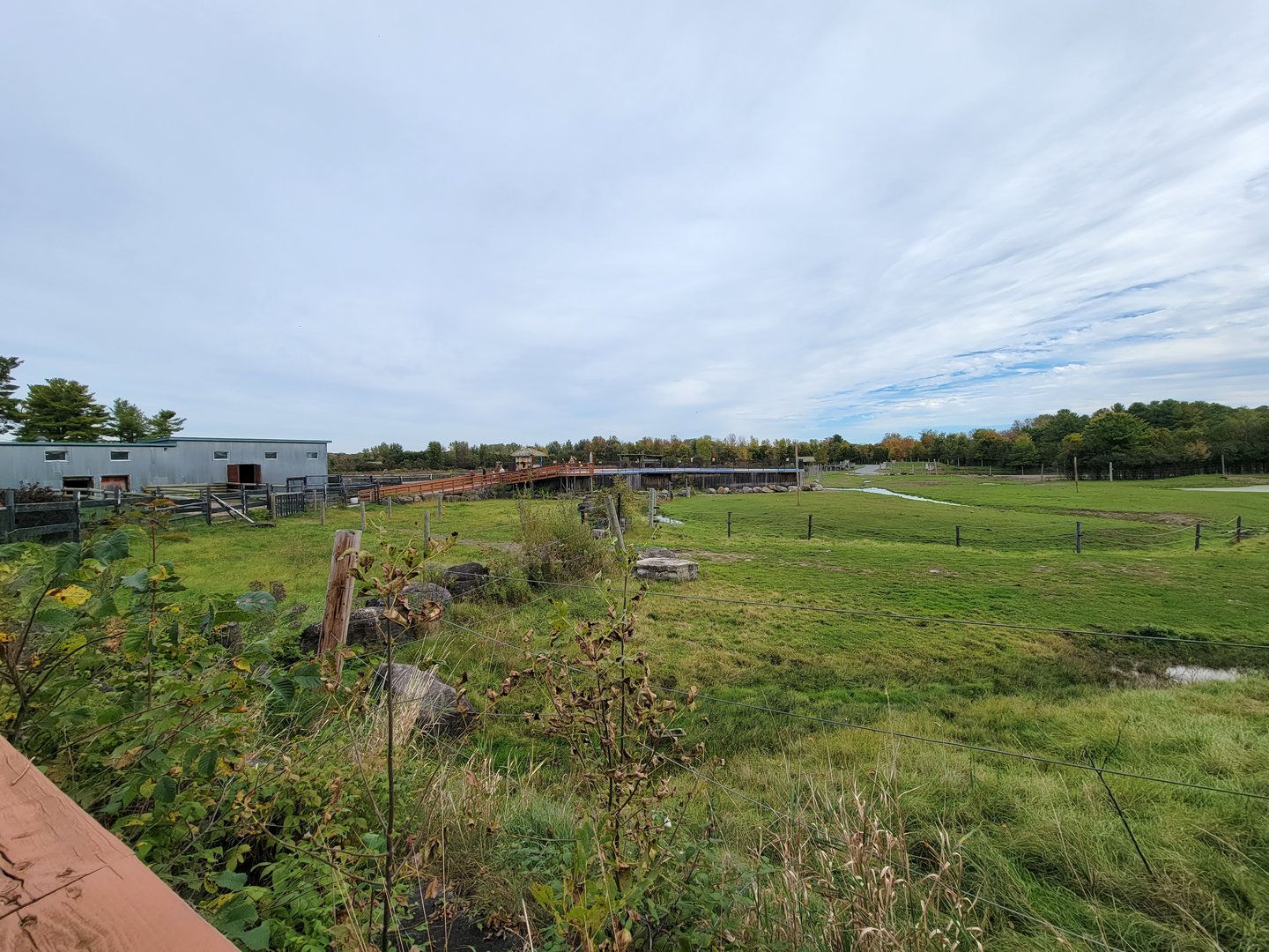 Parc Safari - Afrika Terrace, rotunda from boardwalk