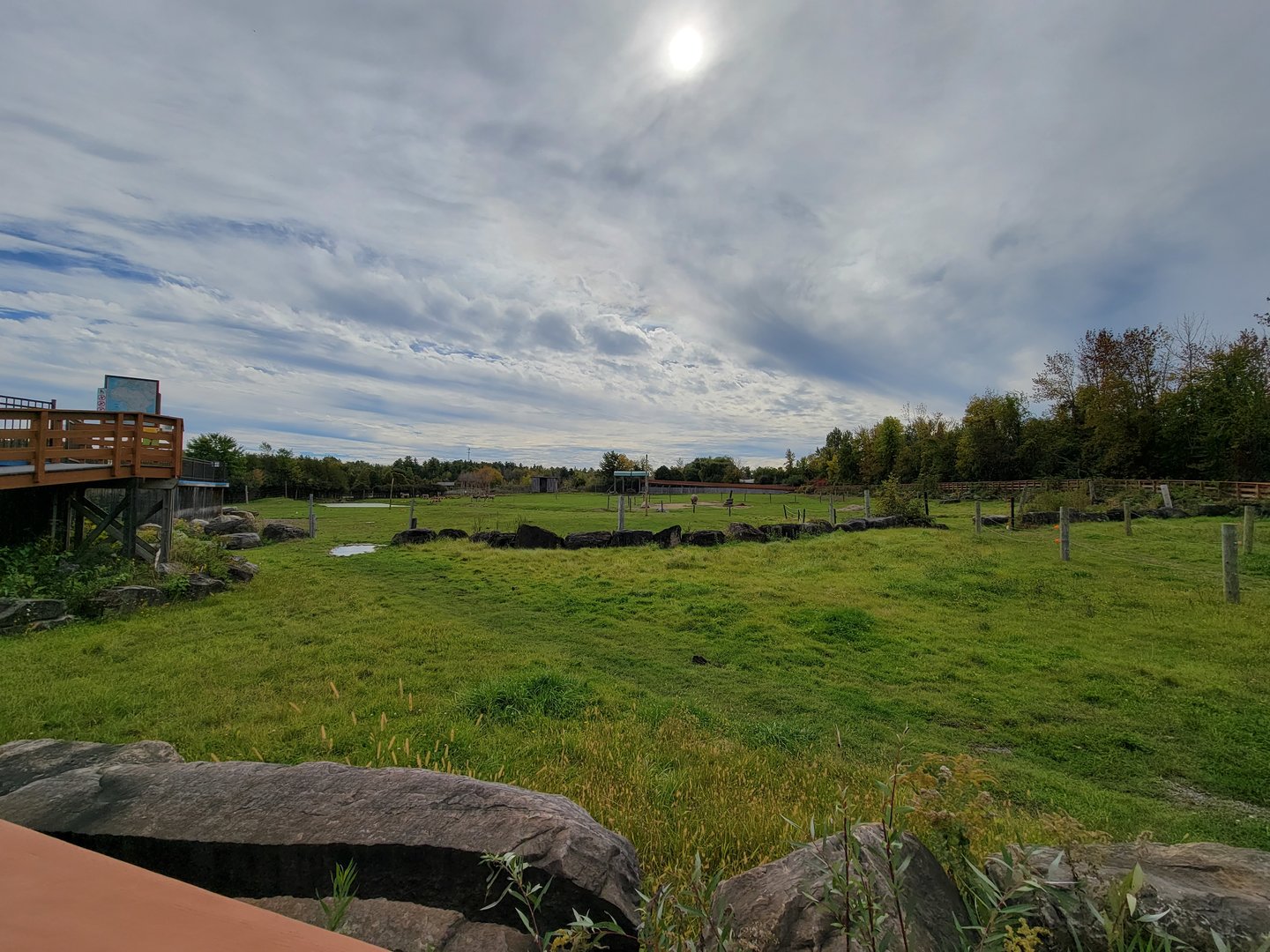 Parc Safari - Afrika Terrace