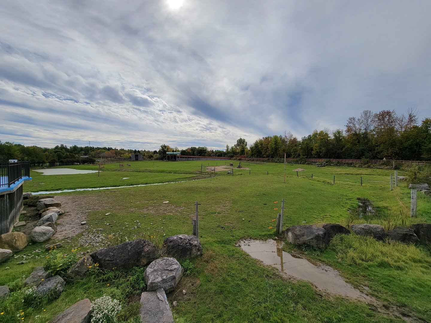 Parc Safari - Afrika Terrace