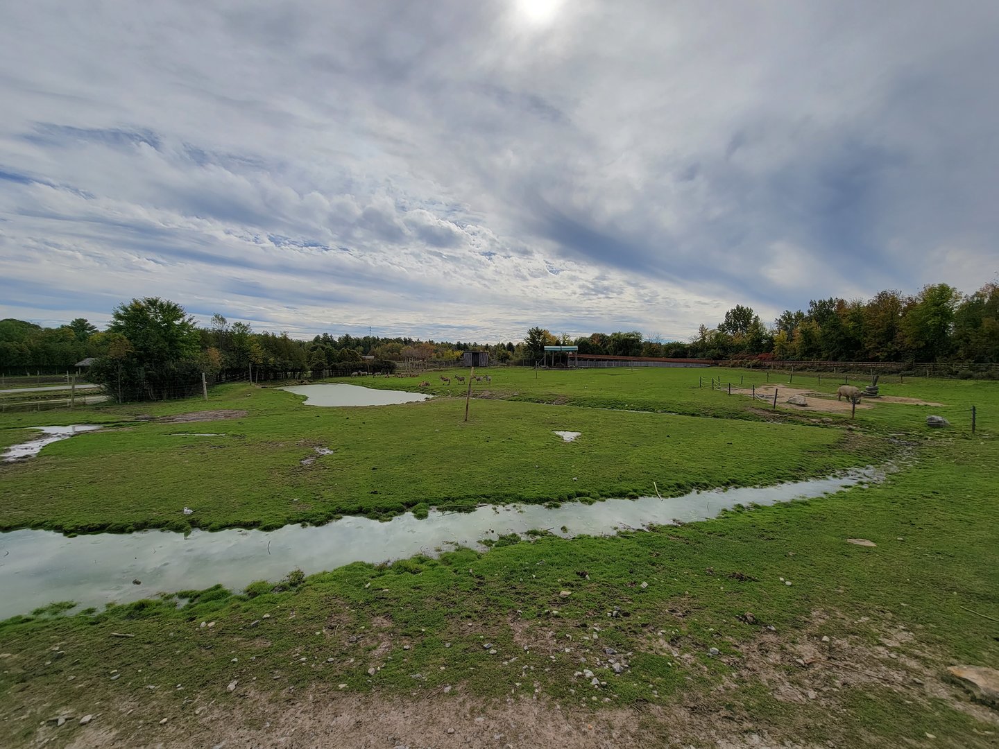 Parc Safari - Afrika Terrace