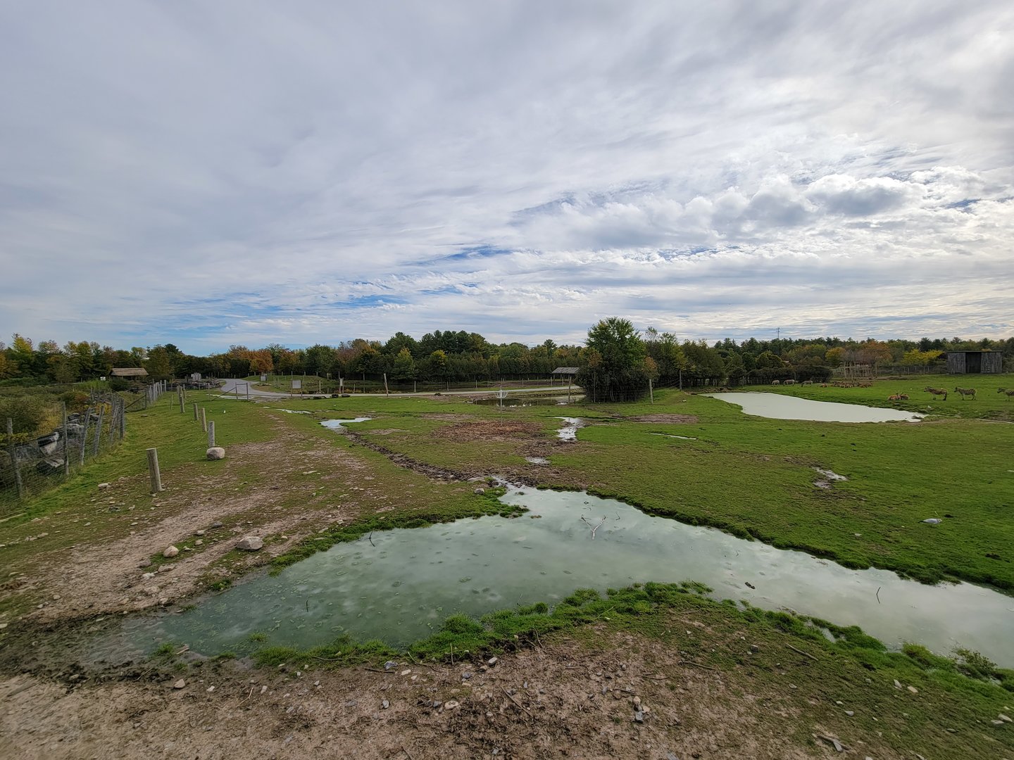 Parc Safari - Afrika Terrace