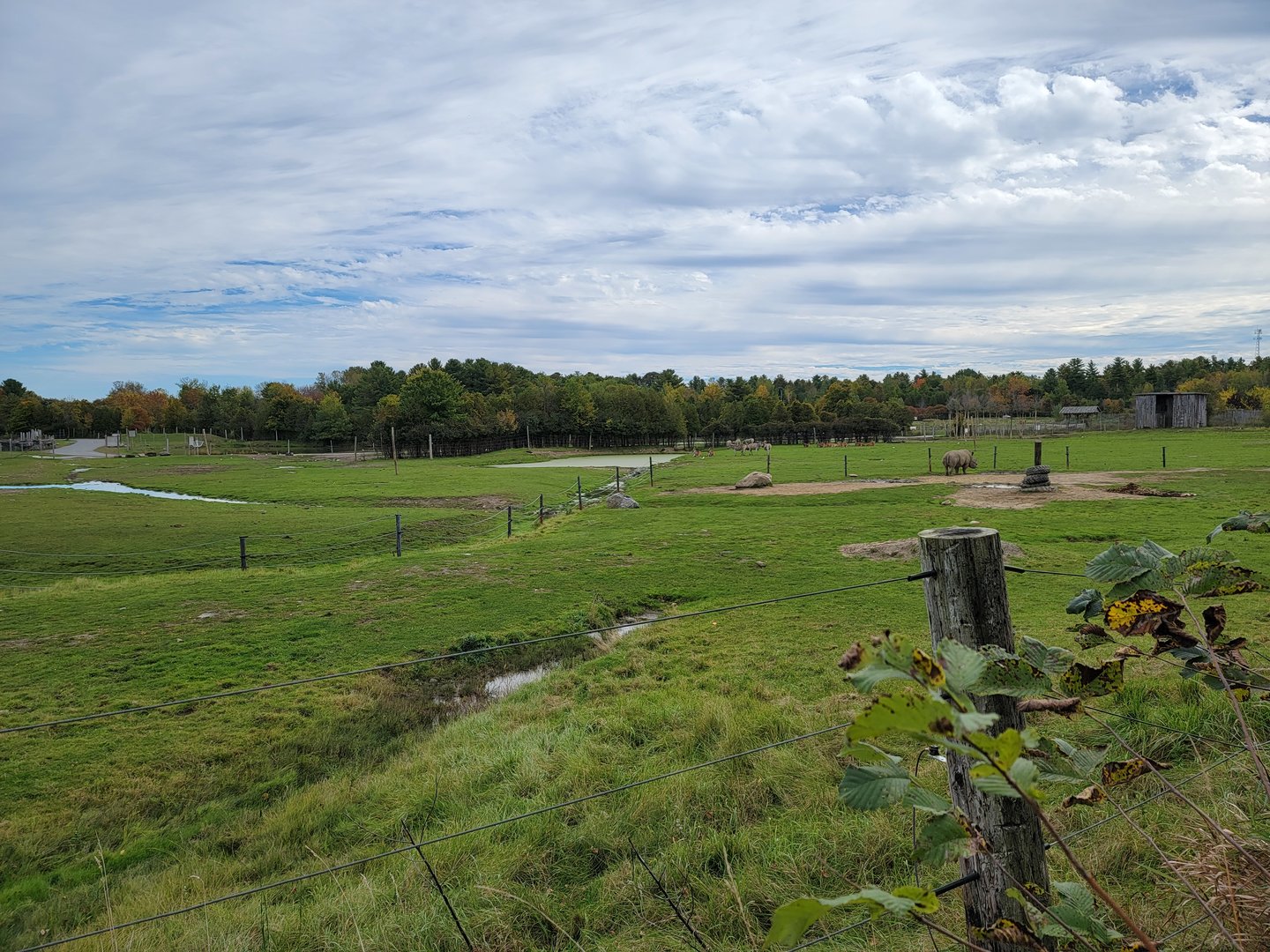 Parc Safari - Afrika Terrace