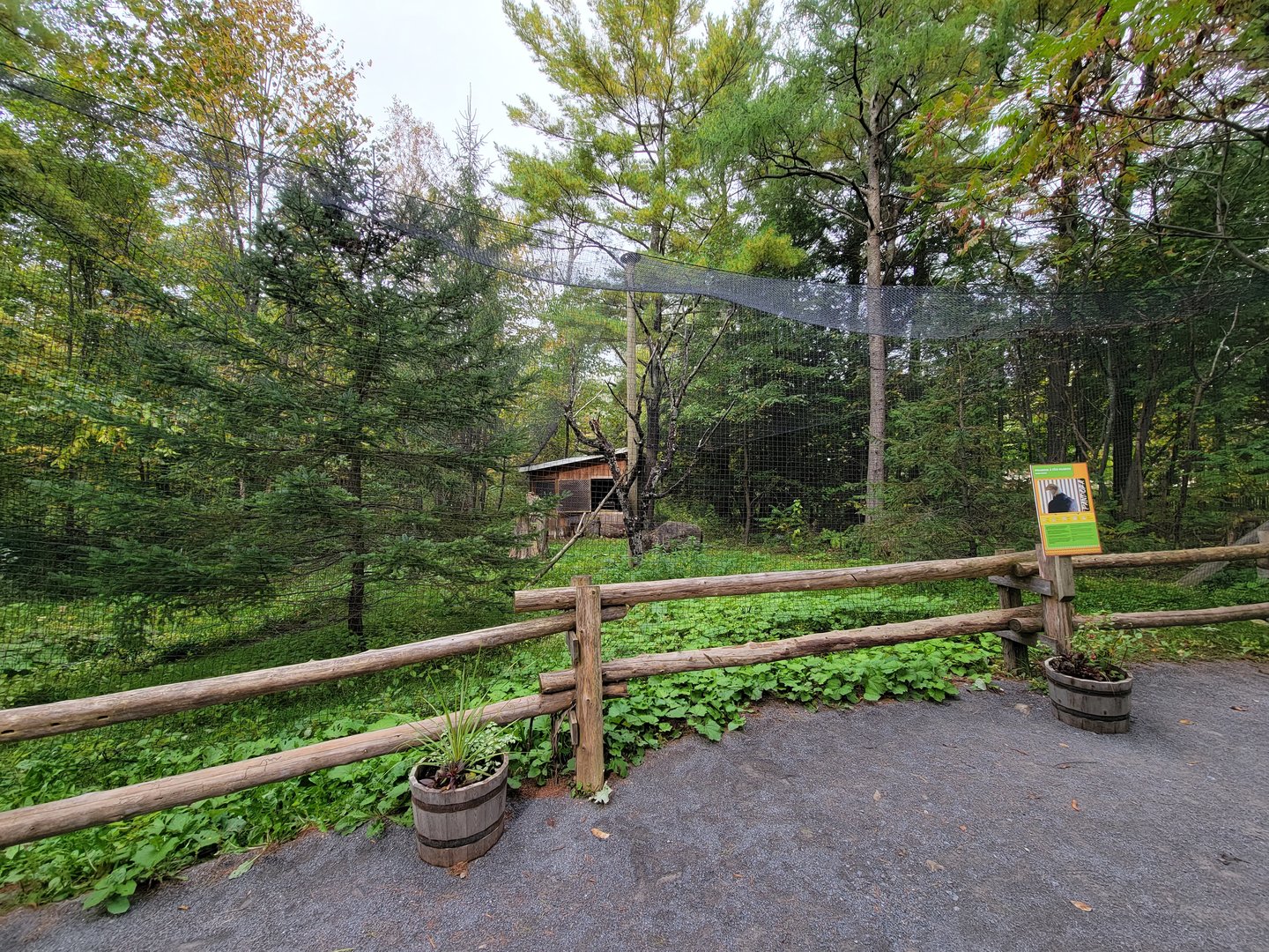 Parc Safari - Birds' Garden, bald eagle