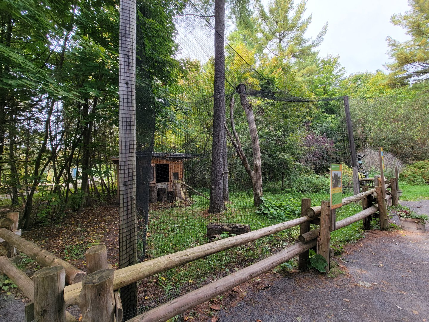 Parc Safari - Birds' Garden, Eurasian Eagle-Owl