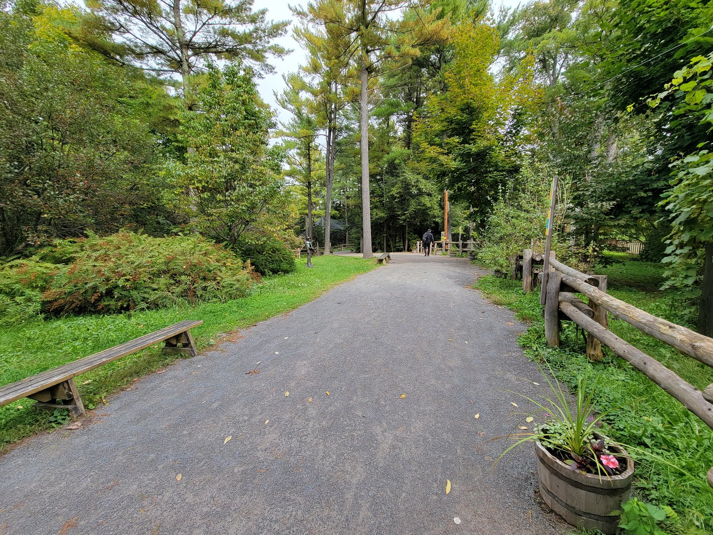 Parc Safari - Birds' Garden, path