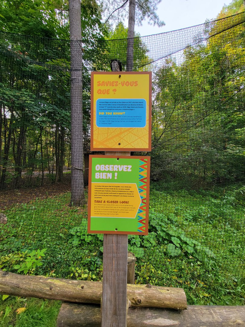 Parc Safari - Birds' Garden, Signs about the individual and the species (Eurasian Eagle-Owl)