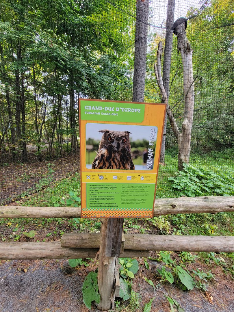 Parc Safari - Birds' Garden, species sign example (Eurasian Eagle-Owl)