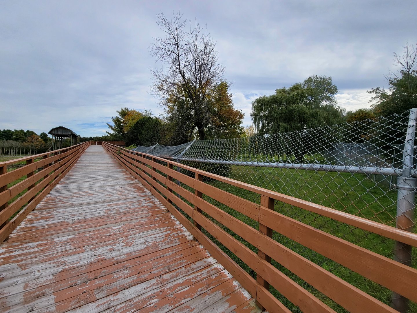 Parc Safari - Boardwalk between cheetah yards
