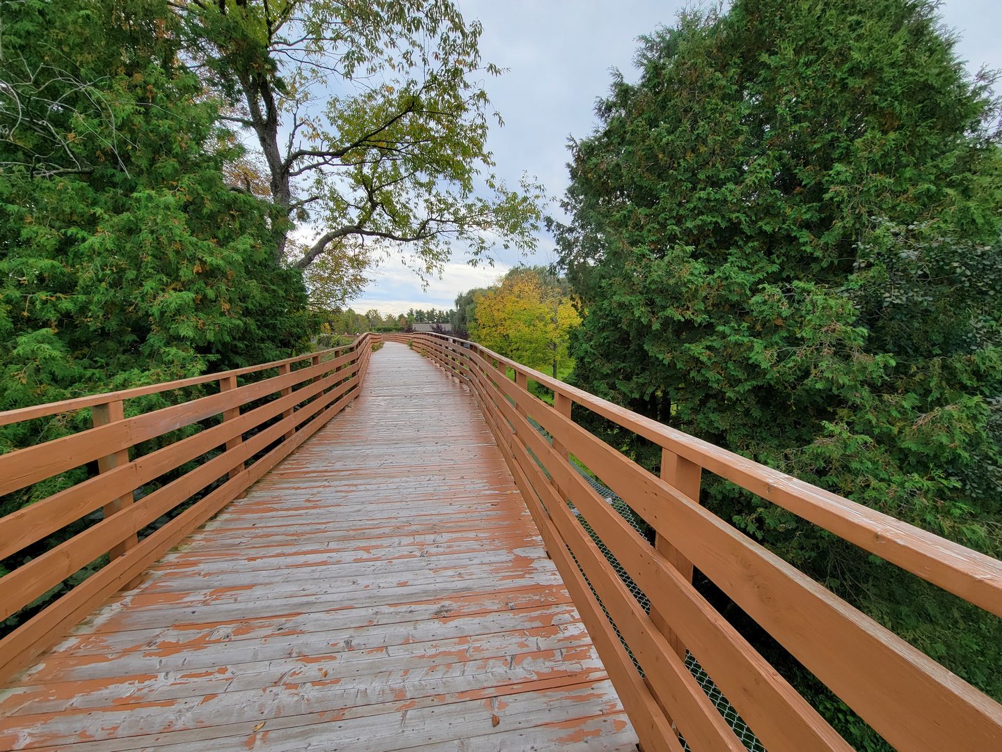 Parc Safari - Boardwalk between cheetahs