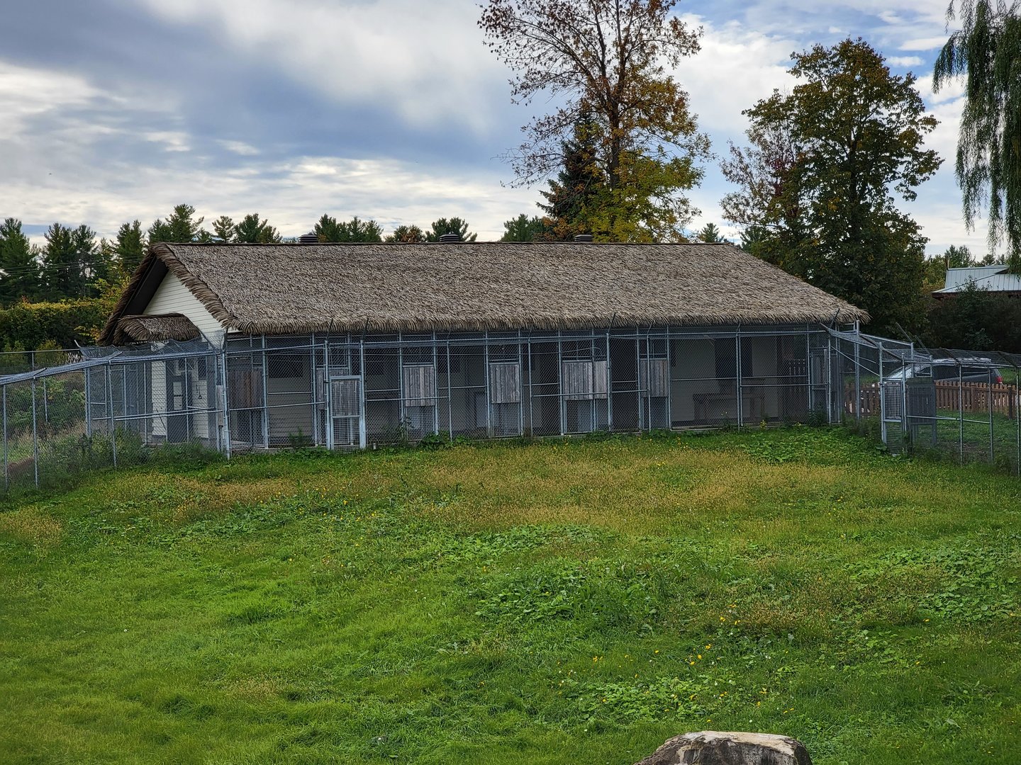 Parc Safari - Cheetah kennels