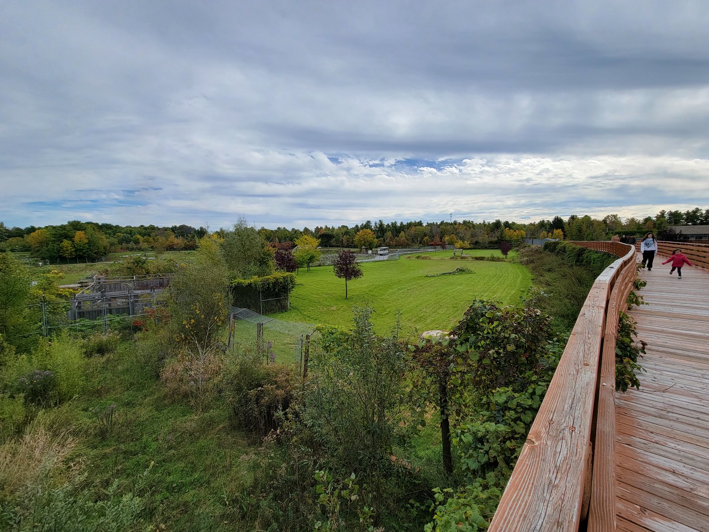 Parc Safari - Cheetah yard #3, with safari in distance