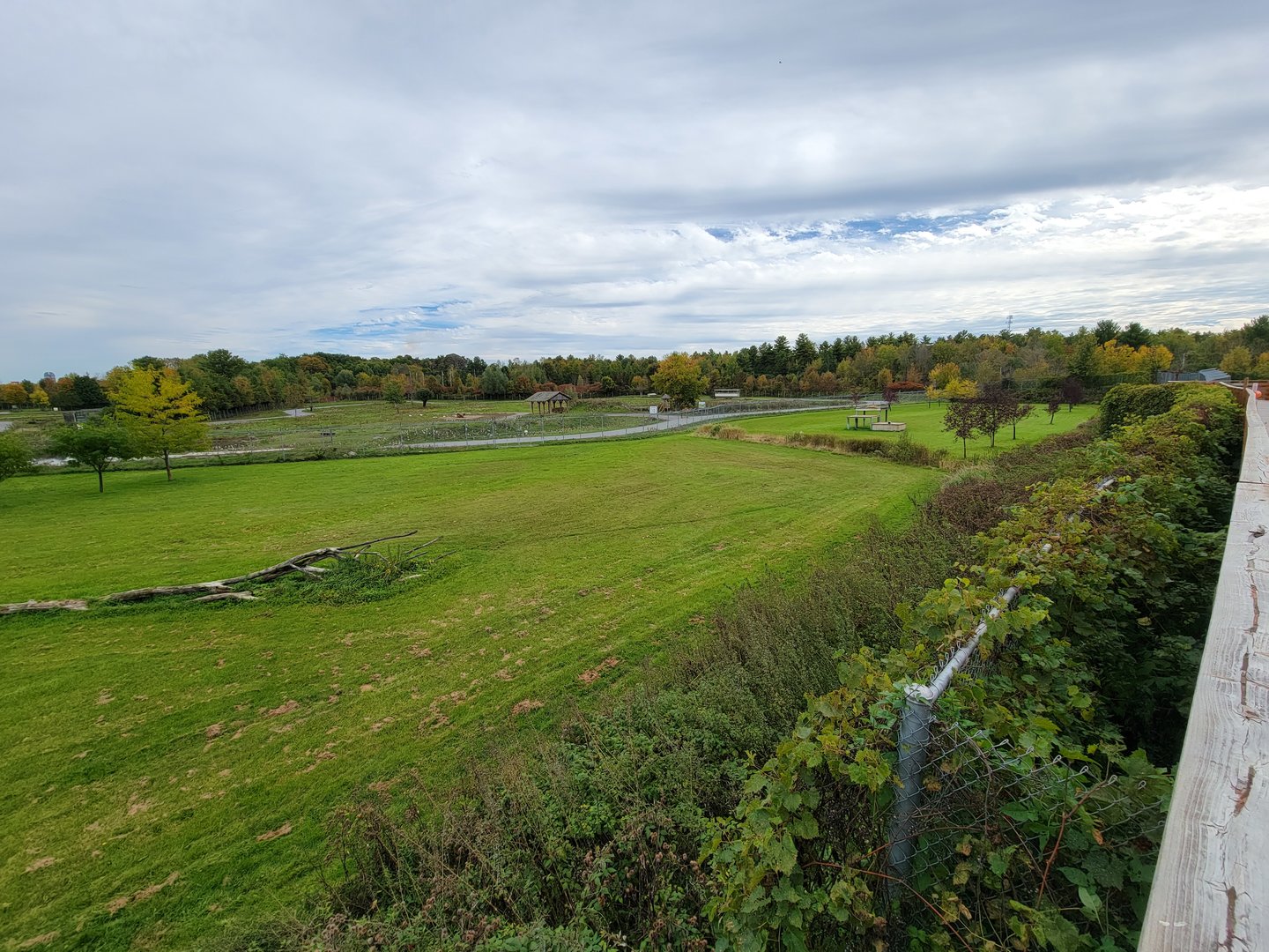 Parc Safari - Cheetah yard #3, with safari in distance