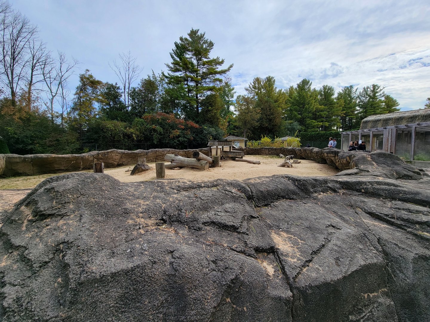 Parc Safari - Farm of the 5 Continents, African porcupines
