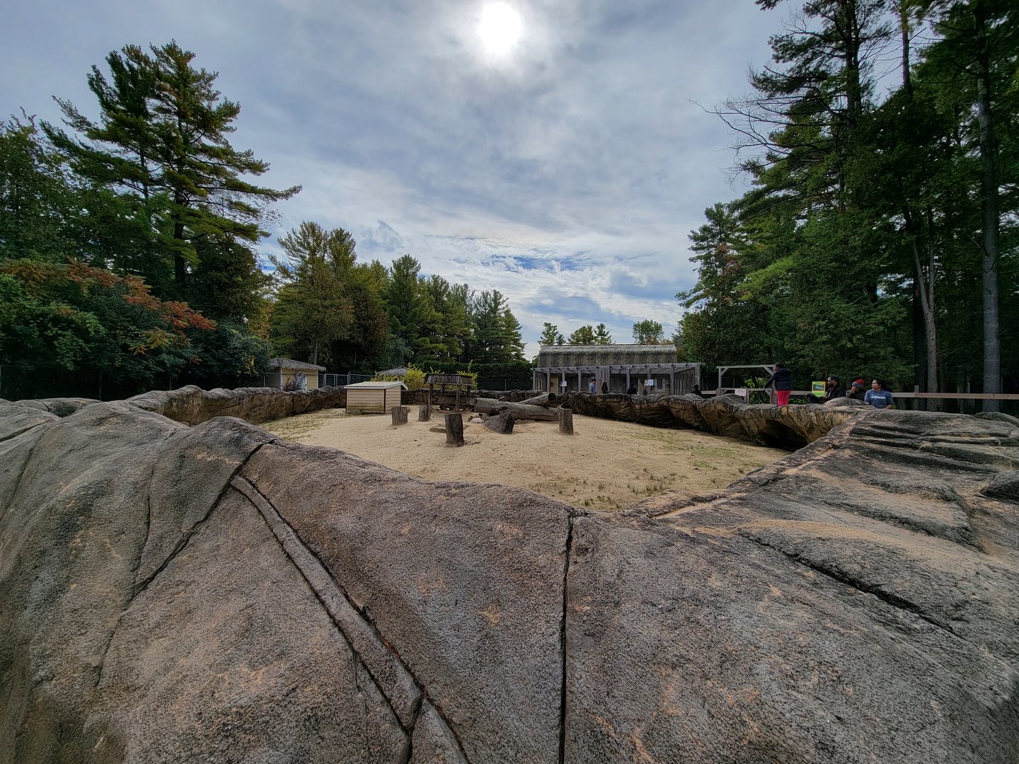 Parc Safari - Farm of the 5 Continents, African porcupines