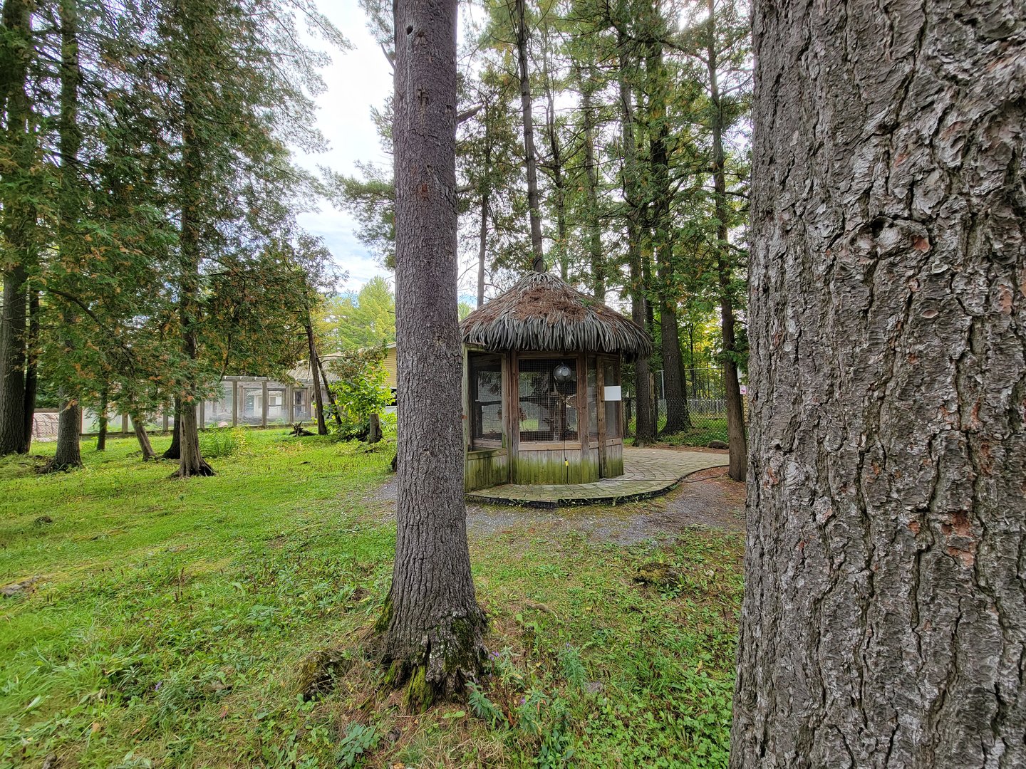 Parc Safari - Farm of the 5 Continents, common marmosets, waterfowl walkthrough closed due to bird flu