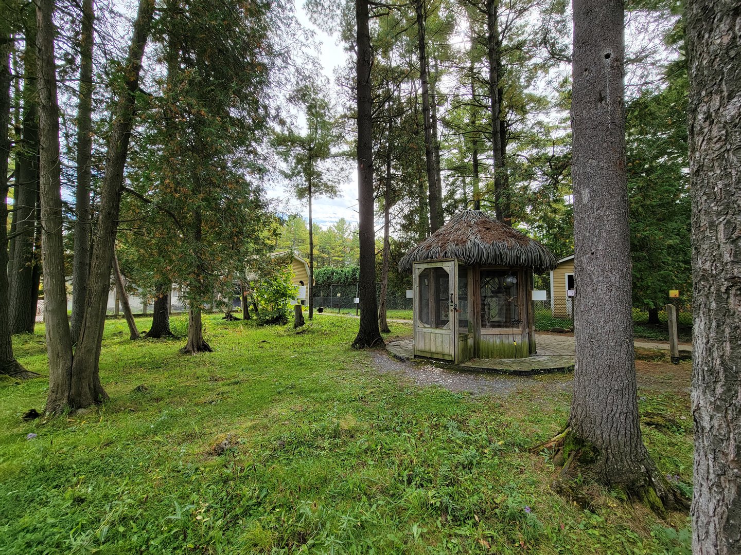 Parc Safari - Farm of the 5 Continents, common marmosets, waterfowl walkthrough closed due to bird flu