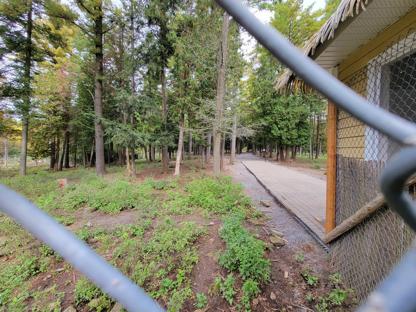 Parc Safari - Farm of the 5 Continents, Deer Trail (closed)