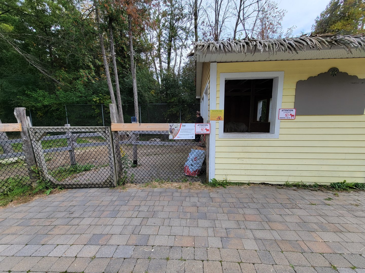 Parc Safari - Farm of the 5 Continents, donkey