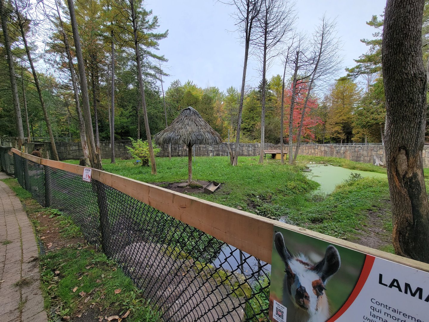 Parc Safari - Farm of the 5 Continents, llama and sandhill cranes