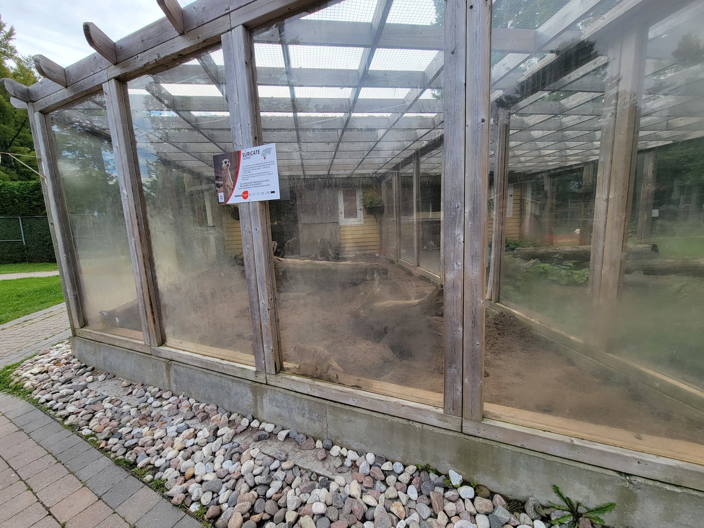 Parc Safari - Farm of the 5 Continents, meerkat