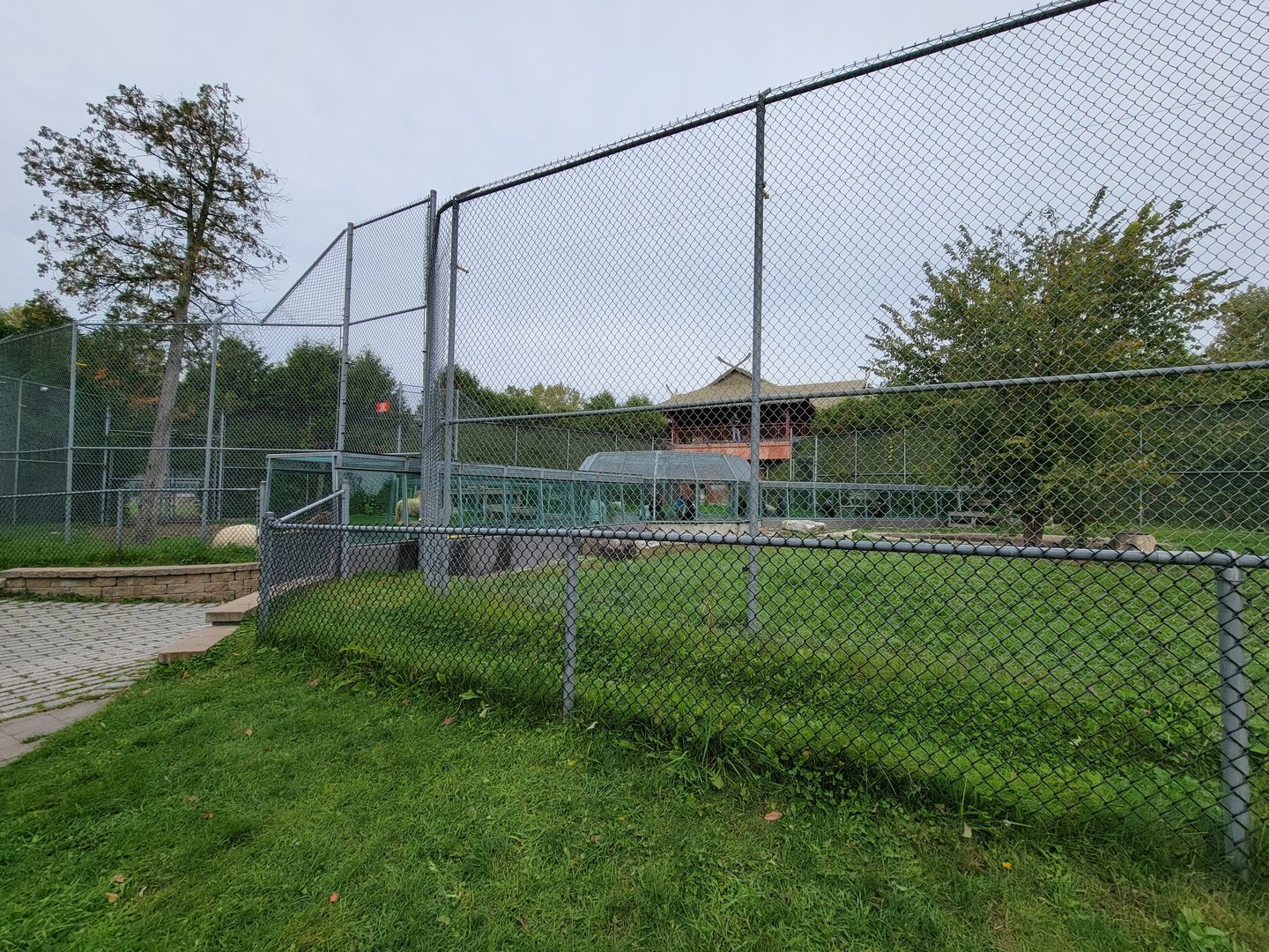 Parc Safari - Lion yard #4 from outside path