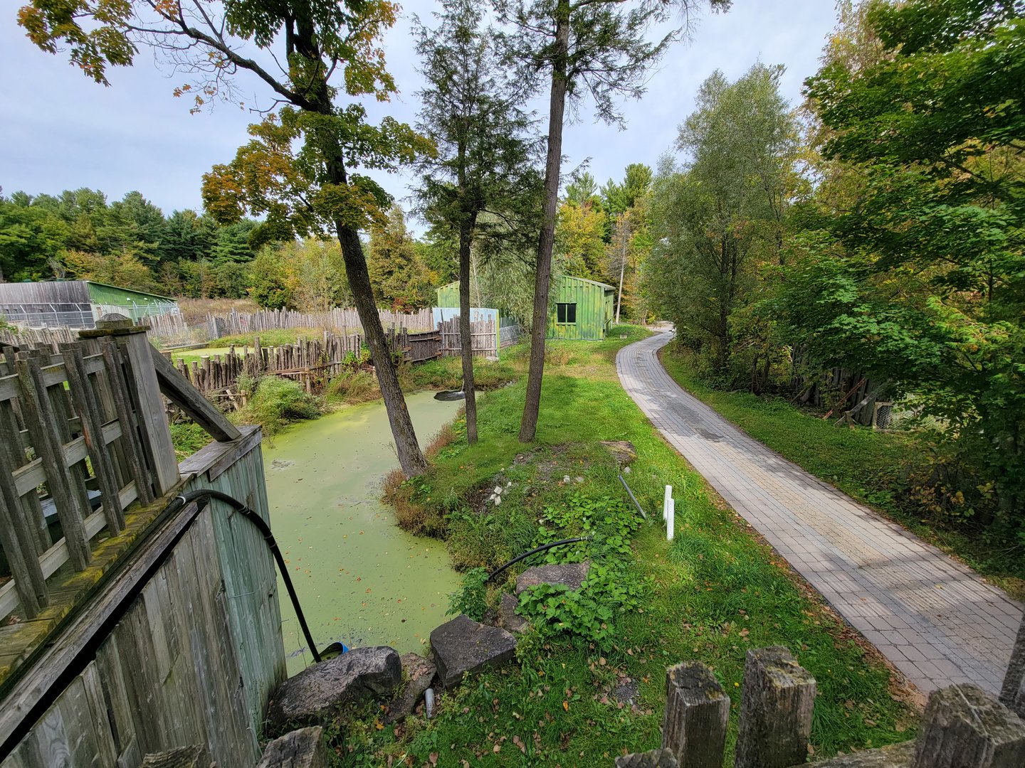 Parc Safari - Olduvai Walkway, Employee area past tapir