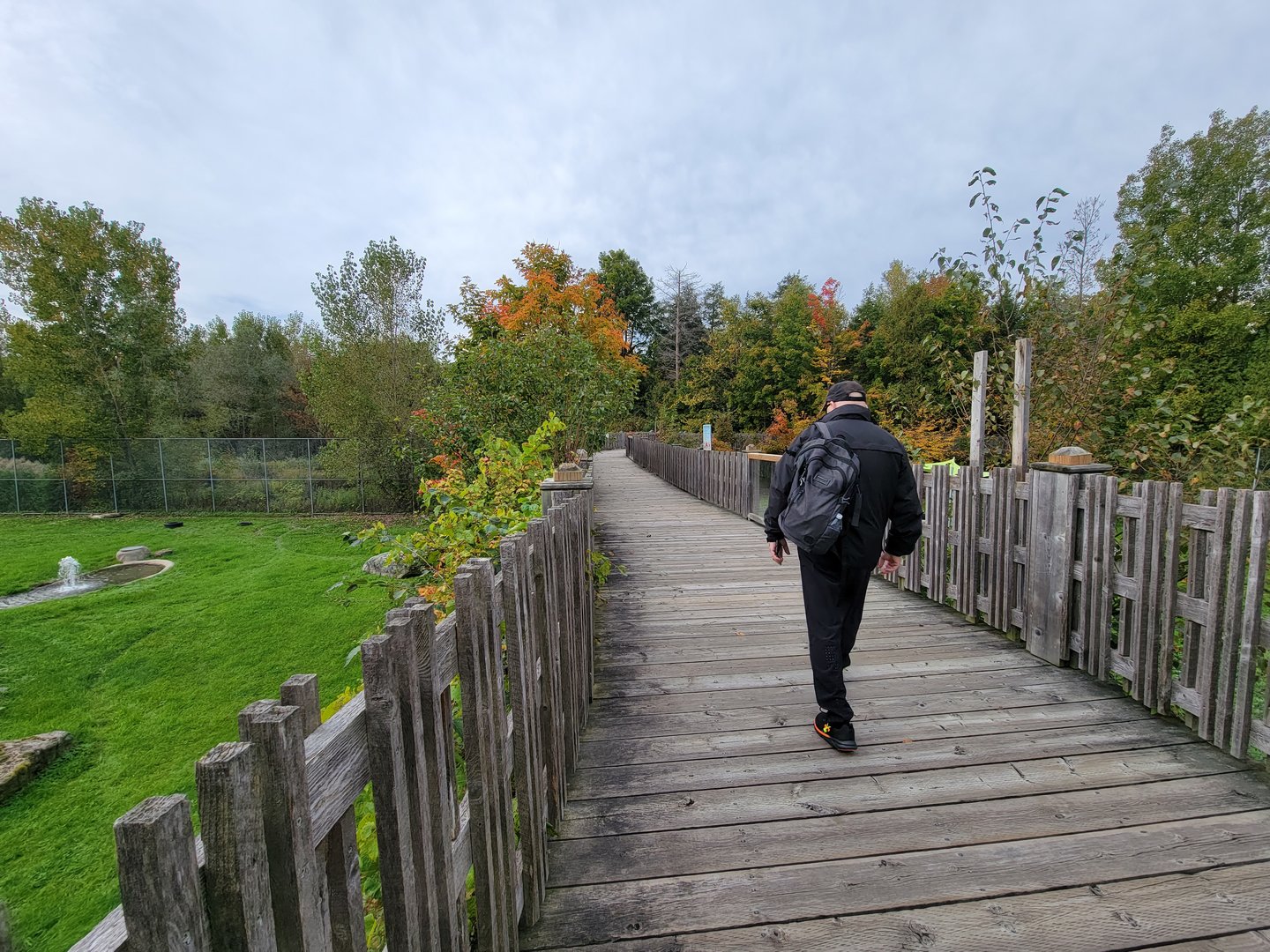 Parc Safari - Olduvai Walkway, here between hyenas and wolves