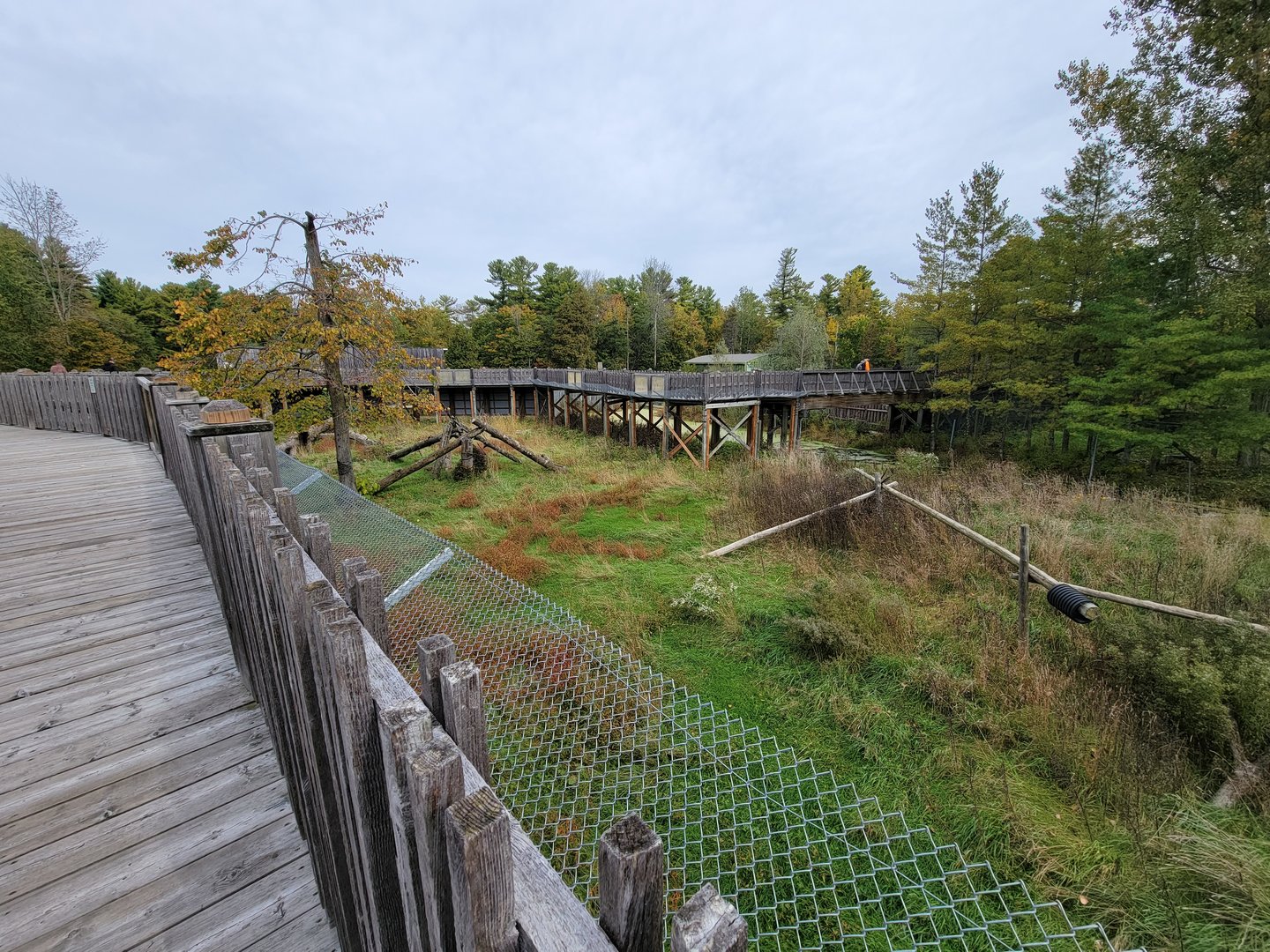 Parc Safari - Olduvai Walkway, Japanese macaque island (currently closed)