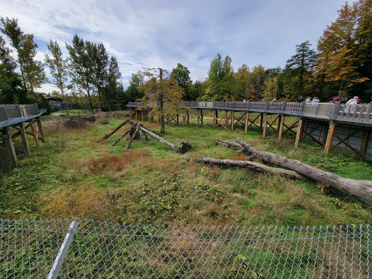 Parc Safari - Olduvai Walkway, Japanese macaque island (currently closed)