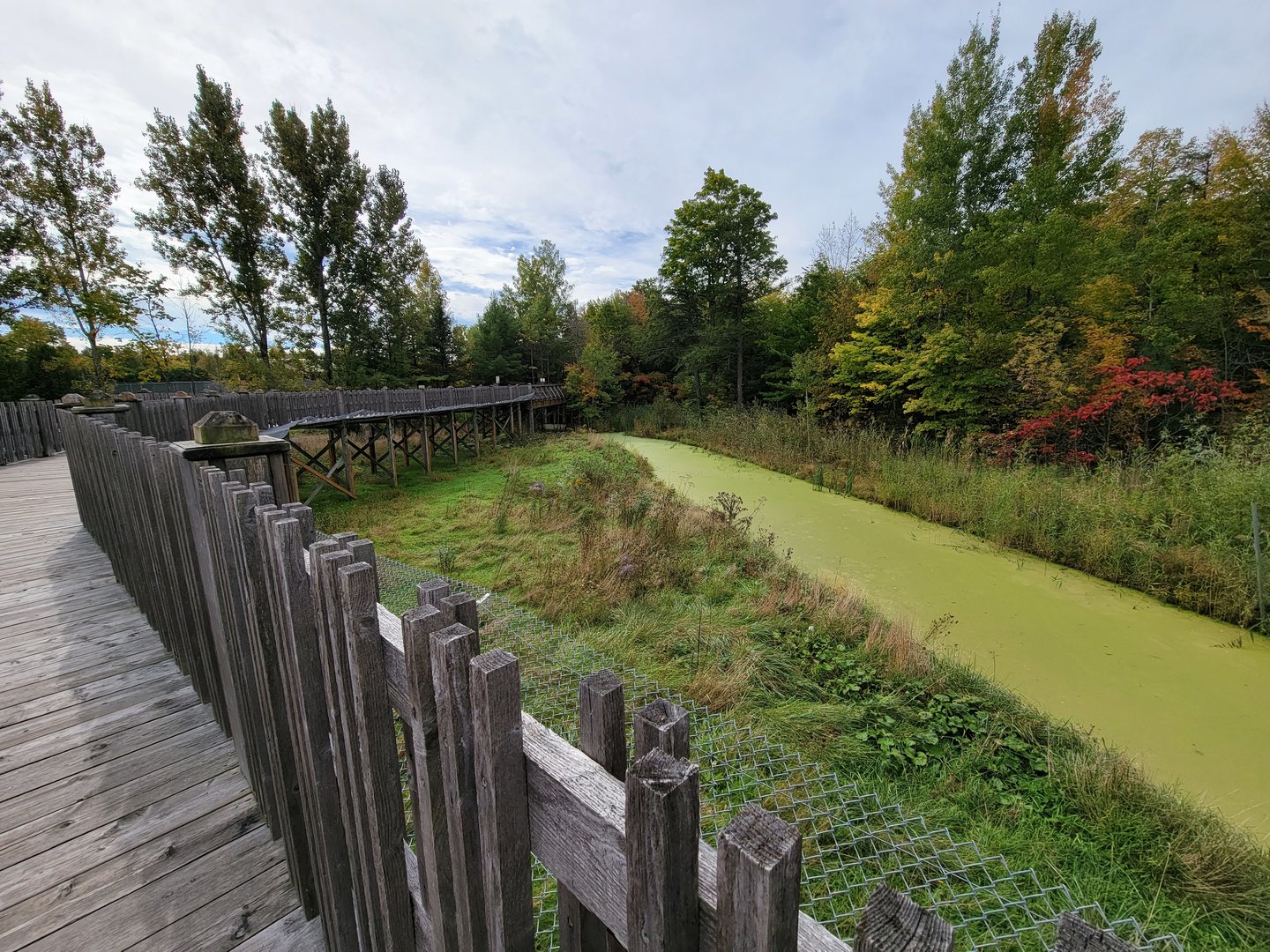Parc Safari - Olduvai Walkway, Japanese macaques island (currently closed)