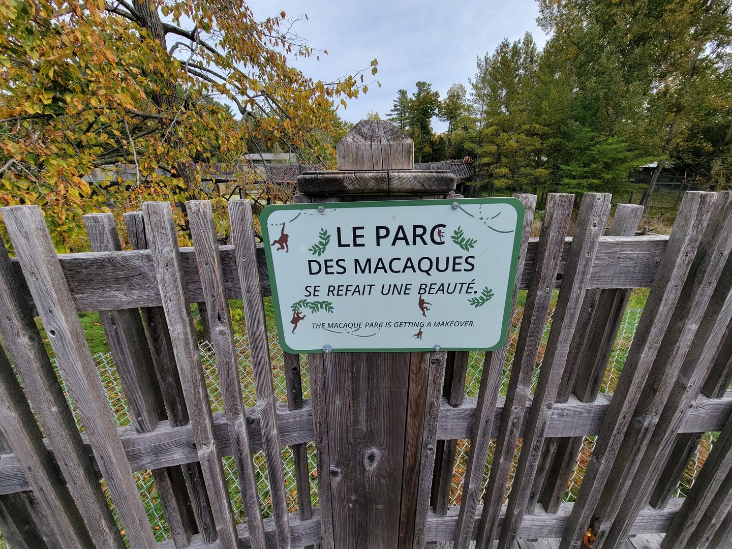 Parc Safari - Olduvai Walkway, Japanese macaques, the park is getting a makeover