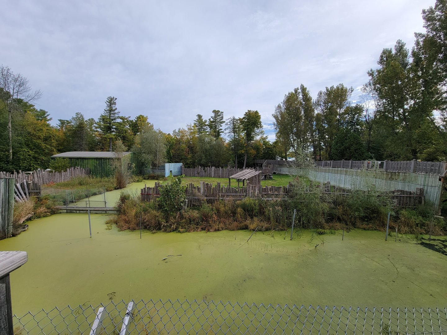 Parc Safari - Olduvai Walkway, Malayan tapir
