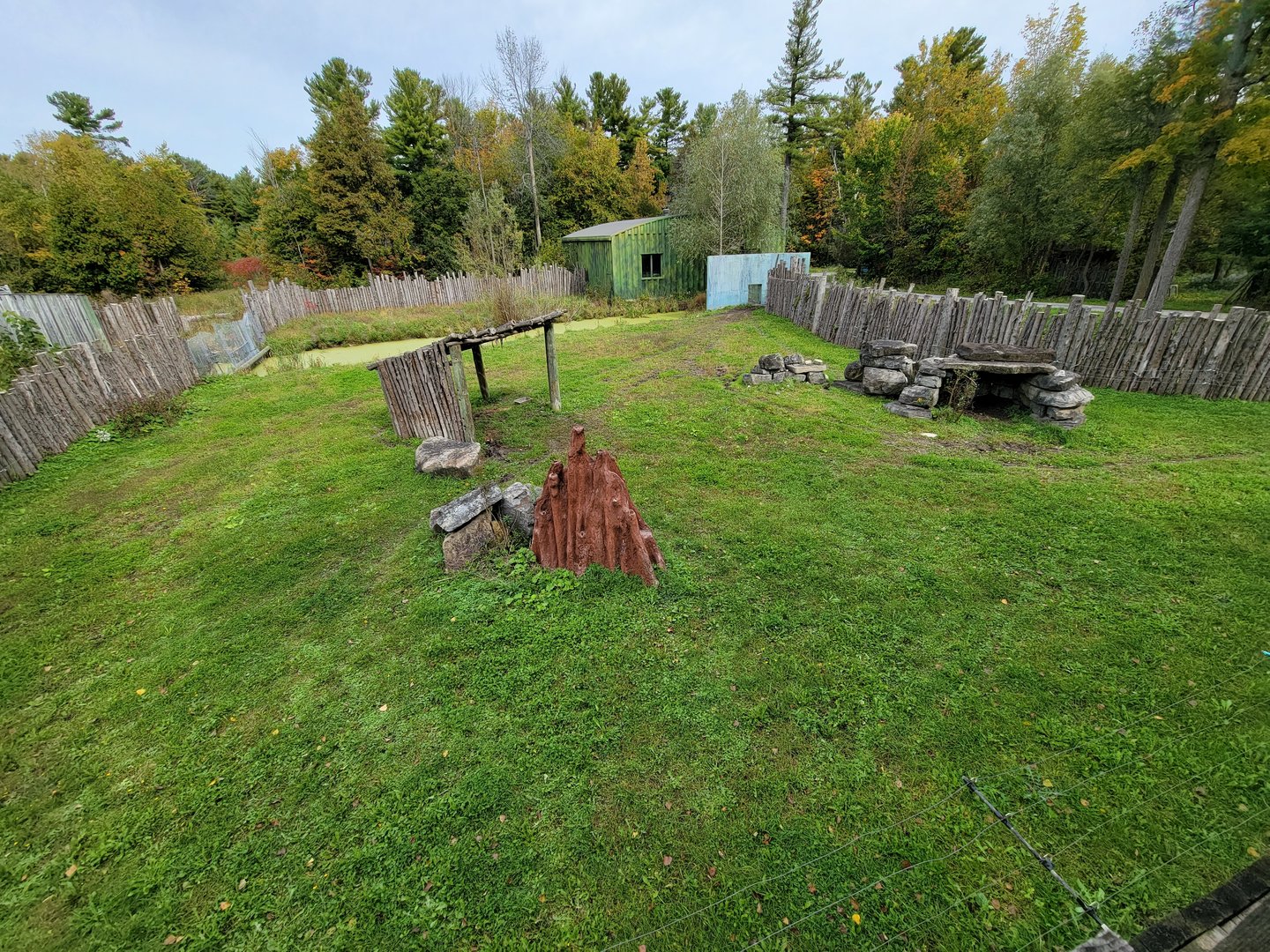 Parc Safari - Olduvai Walkway, Malayan tapir