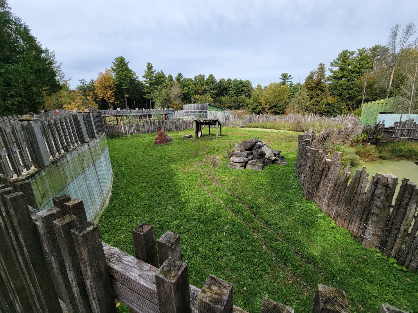 Parc Safari - Olduvai Walkway, Malayan tapir