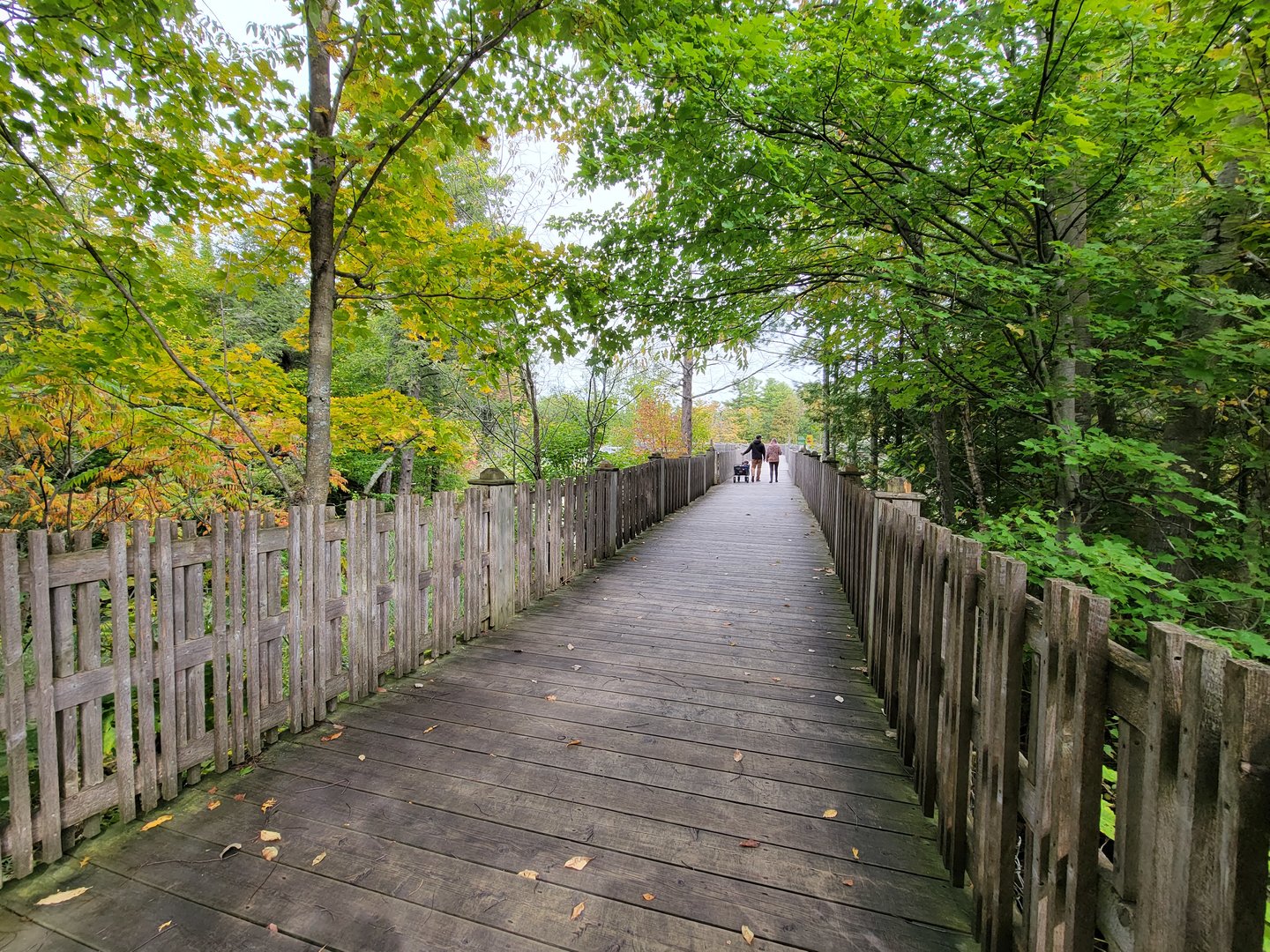 Parc Safari - Olduvai Walkway, to macaques