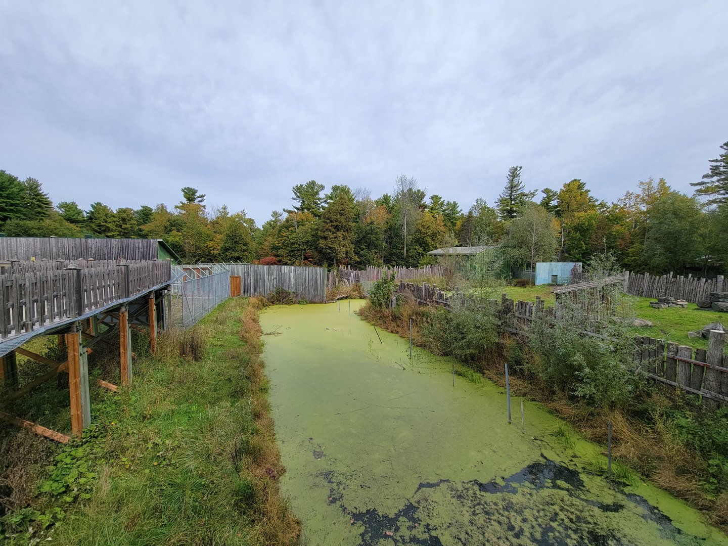 Parc Safari - Olduvai Walkway, waterway between macaques and tapir