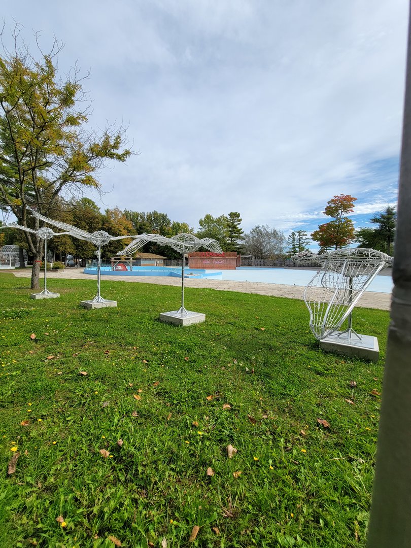 Parc Safari - Olduvai Walkway, winter decorations in waterpark