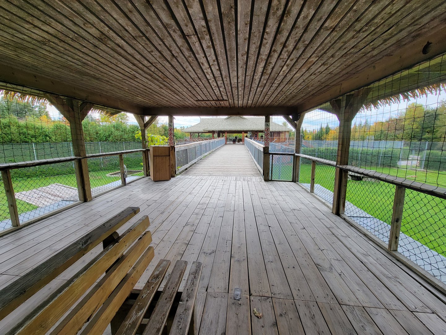 Parc Safari - Overhead boardwalk for felids