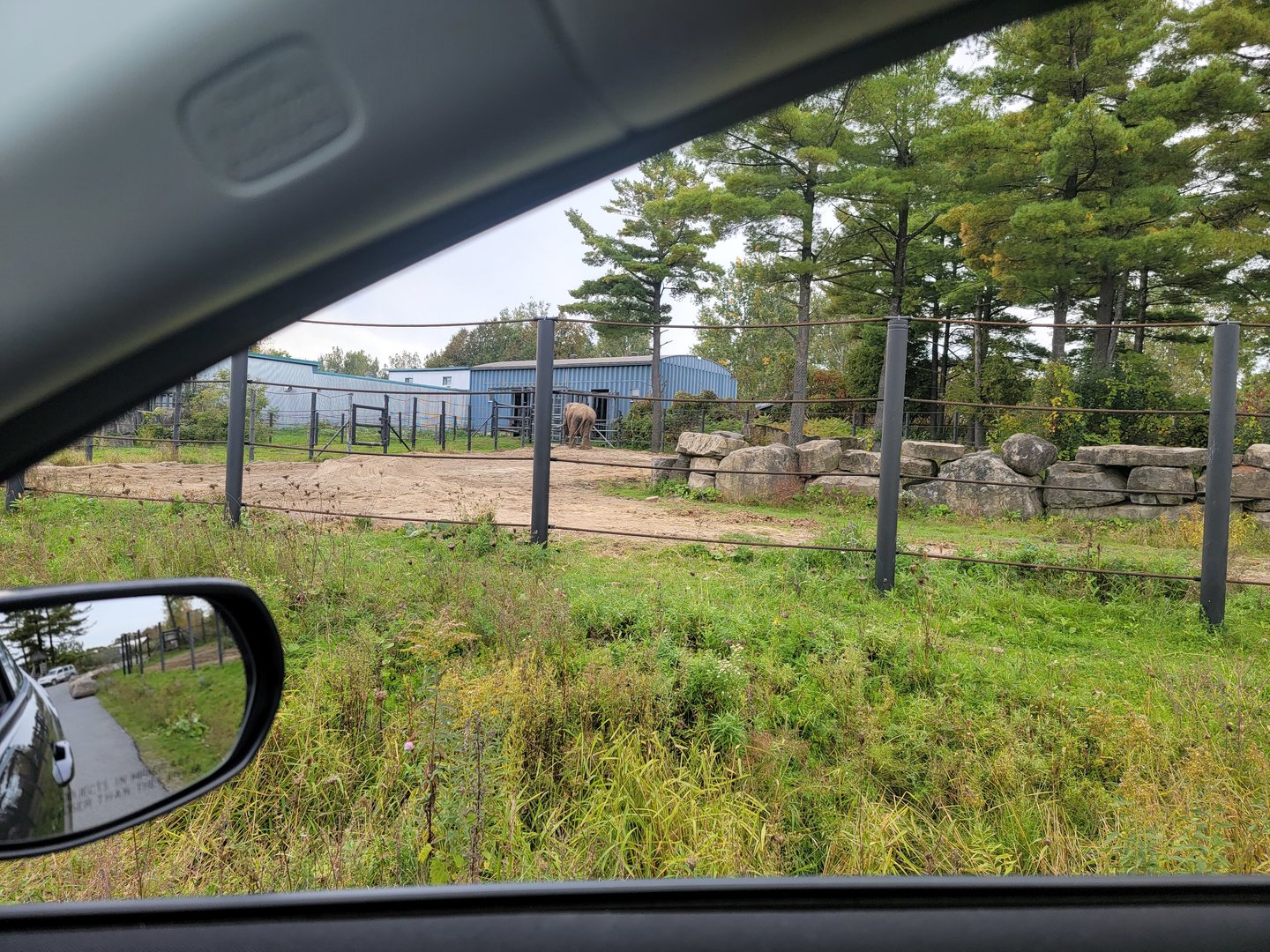 Parc Safari - Safari, African elephant yard, Jeannot