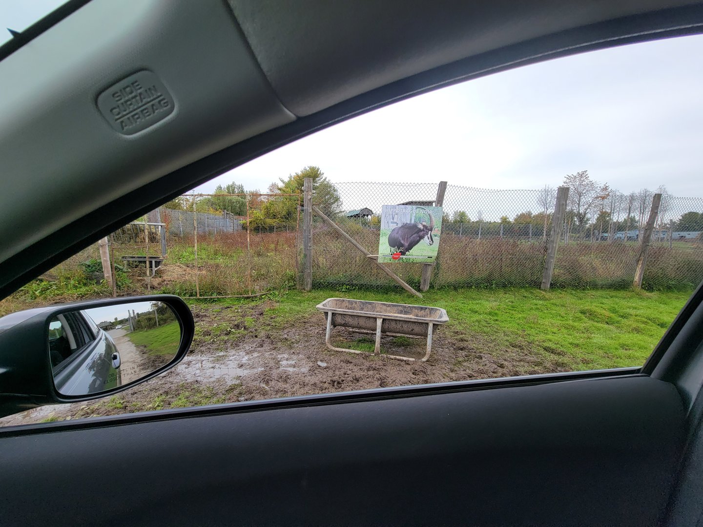 Parc Safari - Safari, closed off sable yard