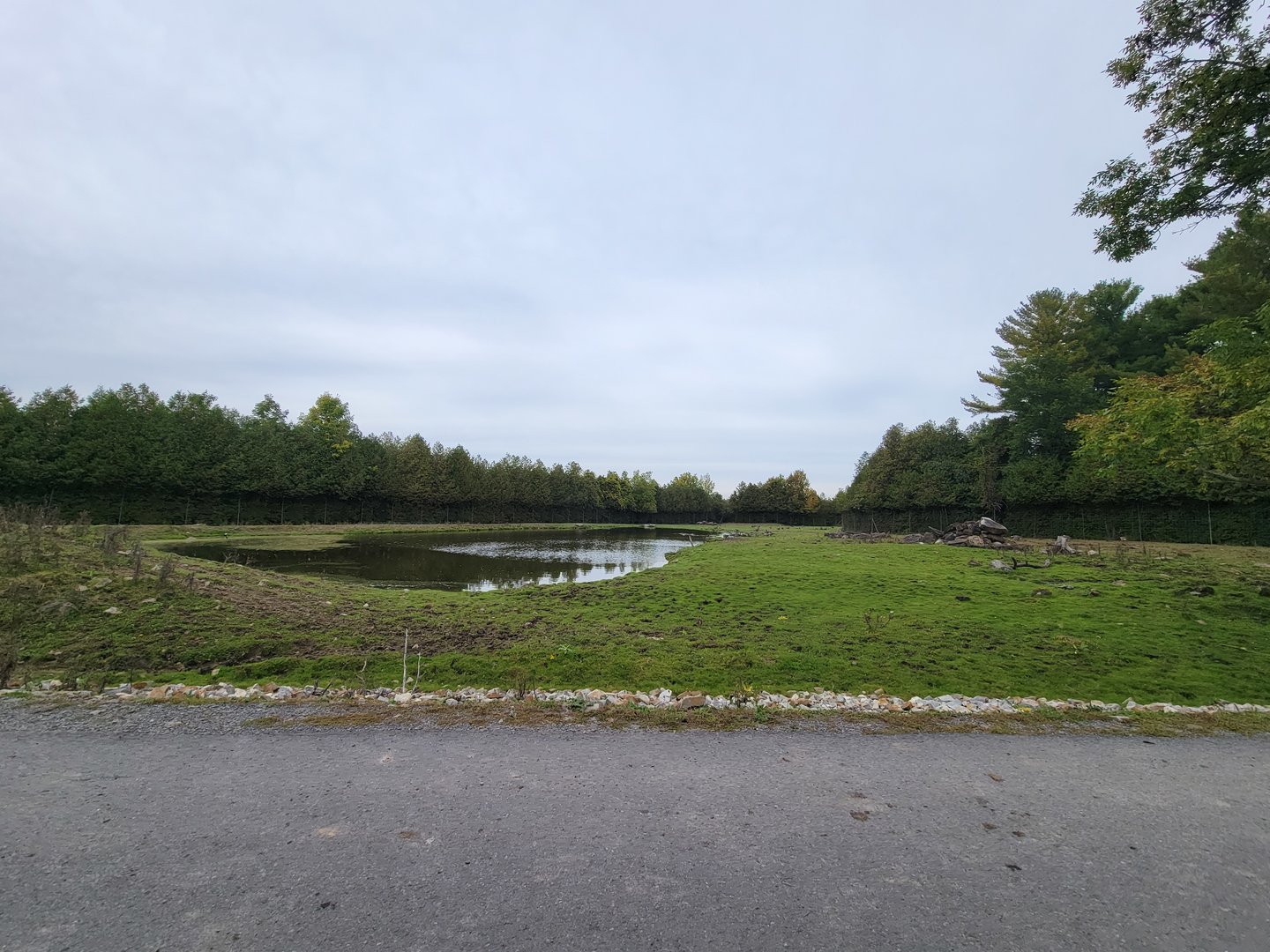 Parc Safari - Safari, empty looking space