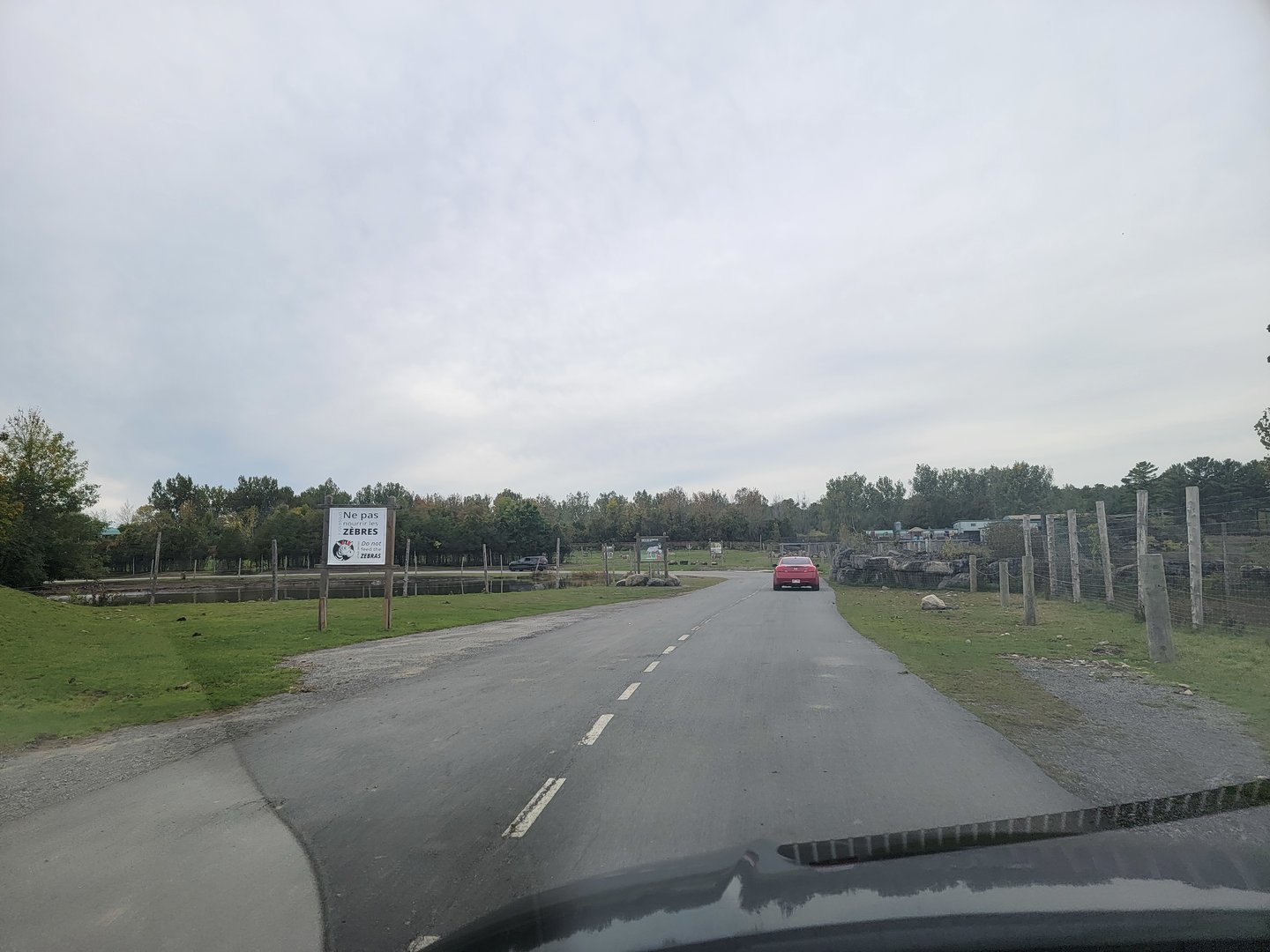 Parc Safari - Safari, road