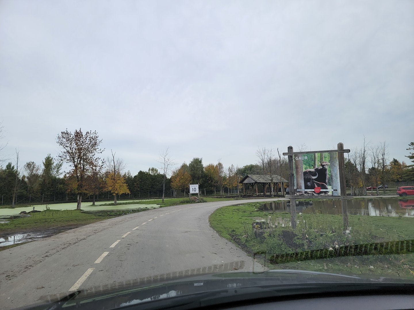 Parc Safari - Safari, road