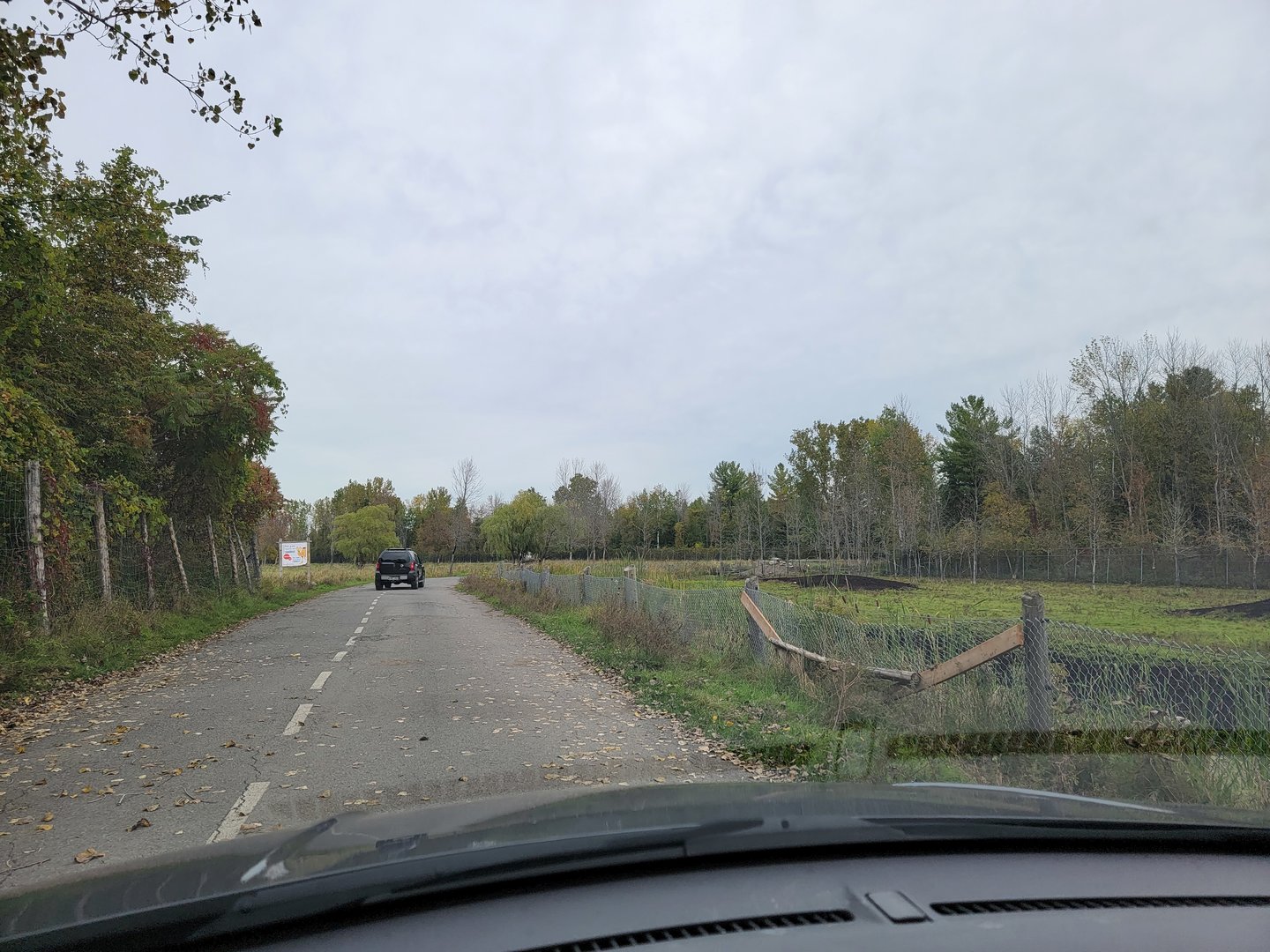 Parc Safari - Safari, road