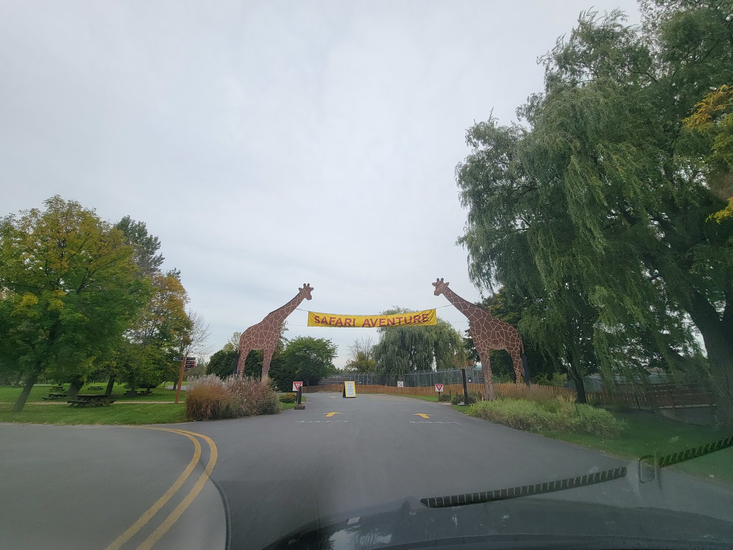 Parc Safari - Safari, start of road