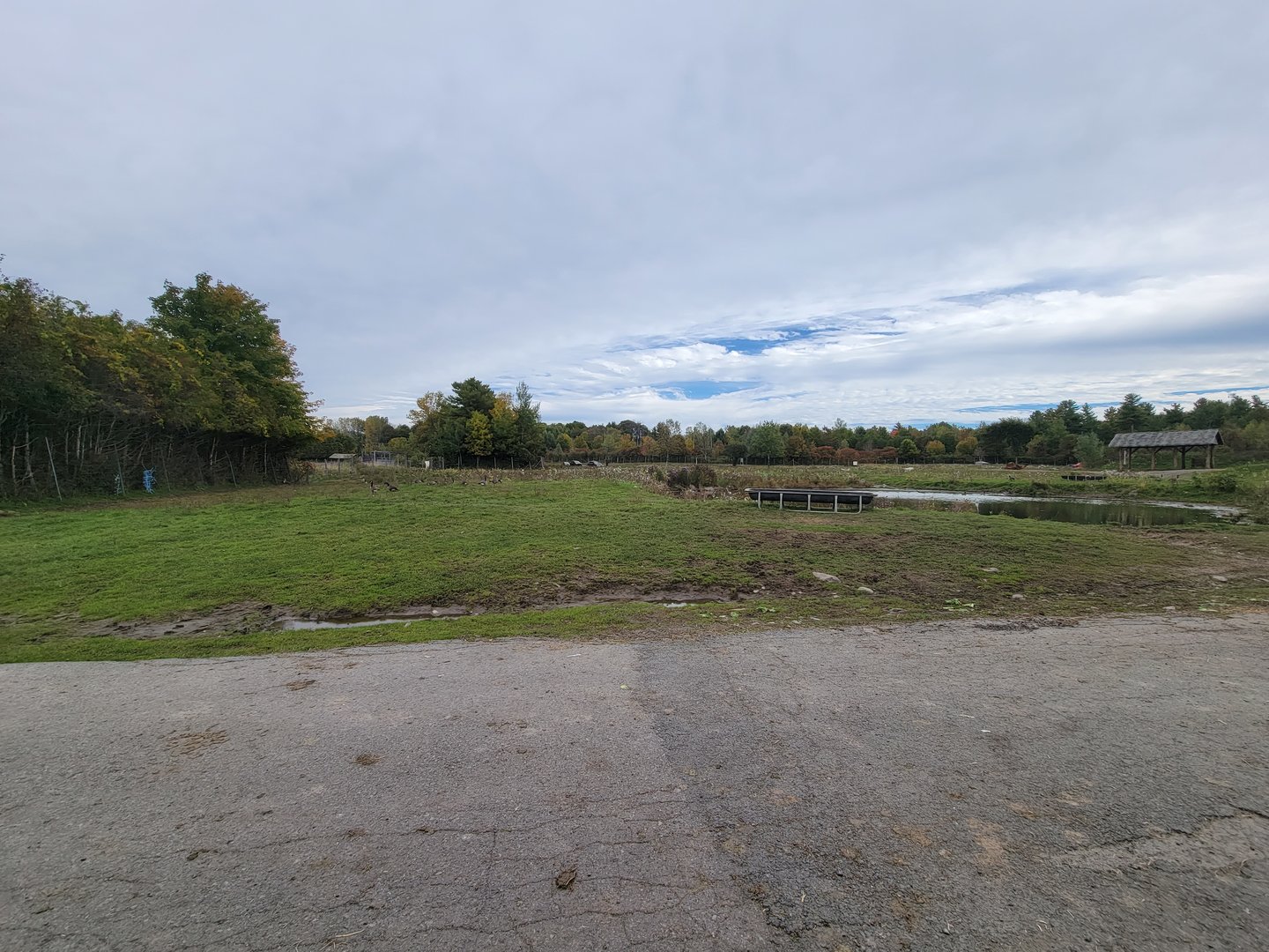 Parc Safari - Safari, wild waterfowl, some wildebeest hiding